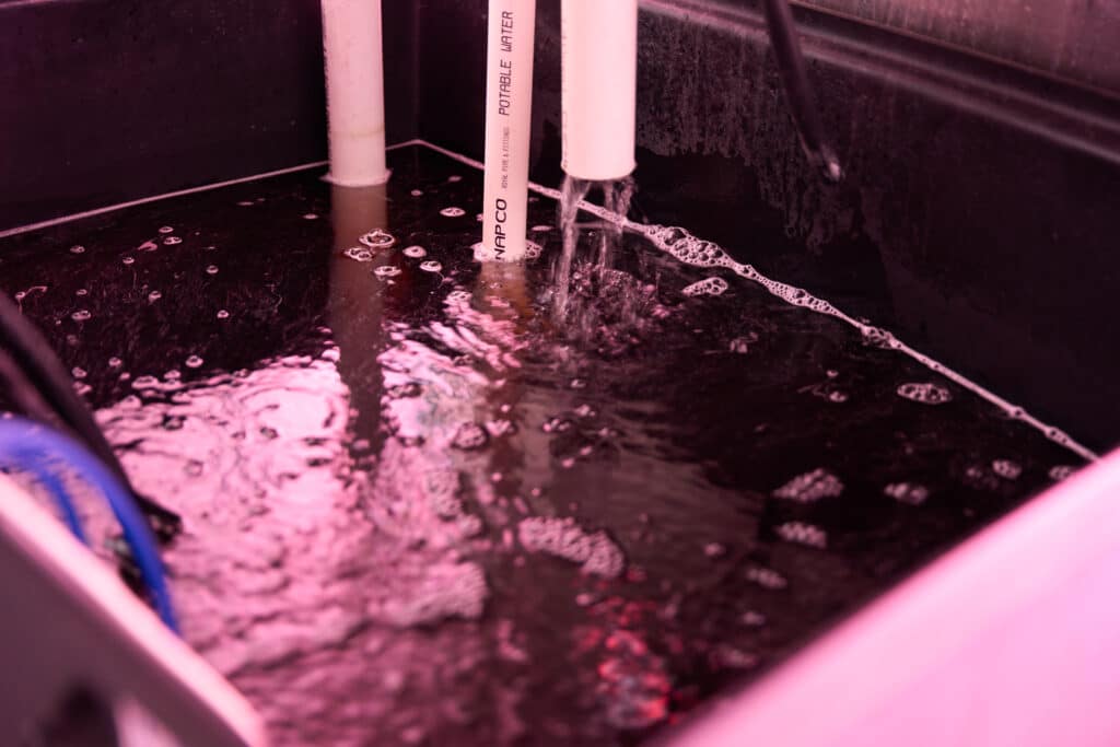 hydroponic reservoir showing pipes that pump water to the plants.