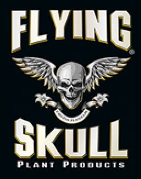 Flying Skull